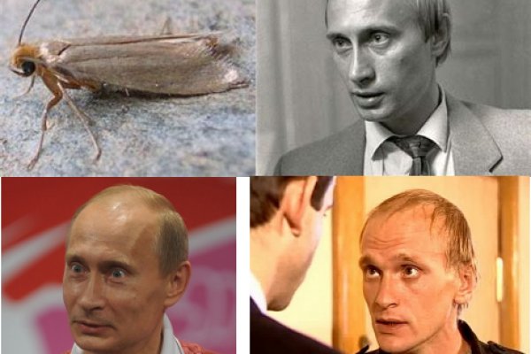 Кракен ссылка список